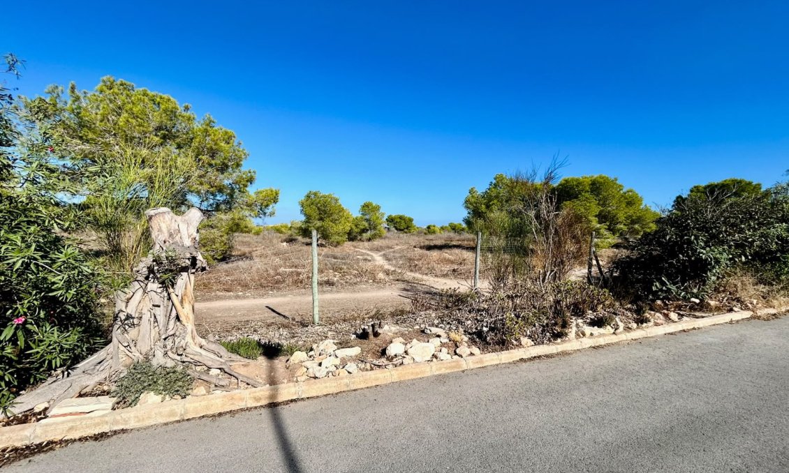 Segunda mano - Adosado -
Torrevieja - Costa Blanca