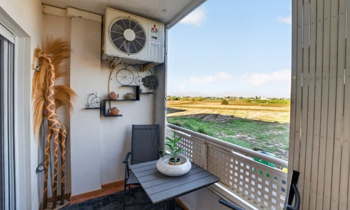 Segunda mano - Apartamento -
Almoradí - Costa Blanca