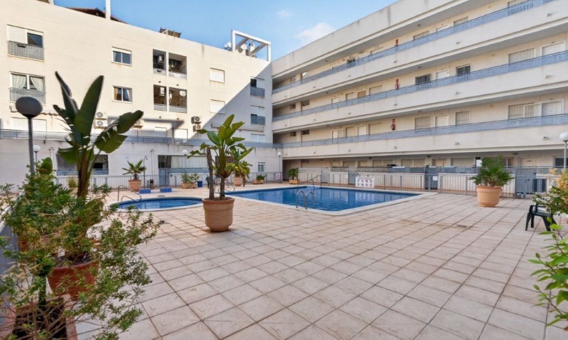 Segunda mano - Apartamento -
Almoradí - Costa Blanca
