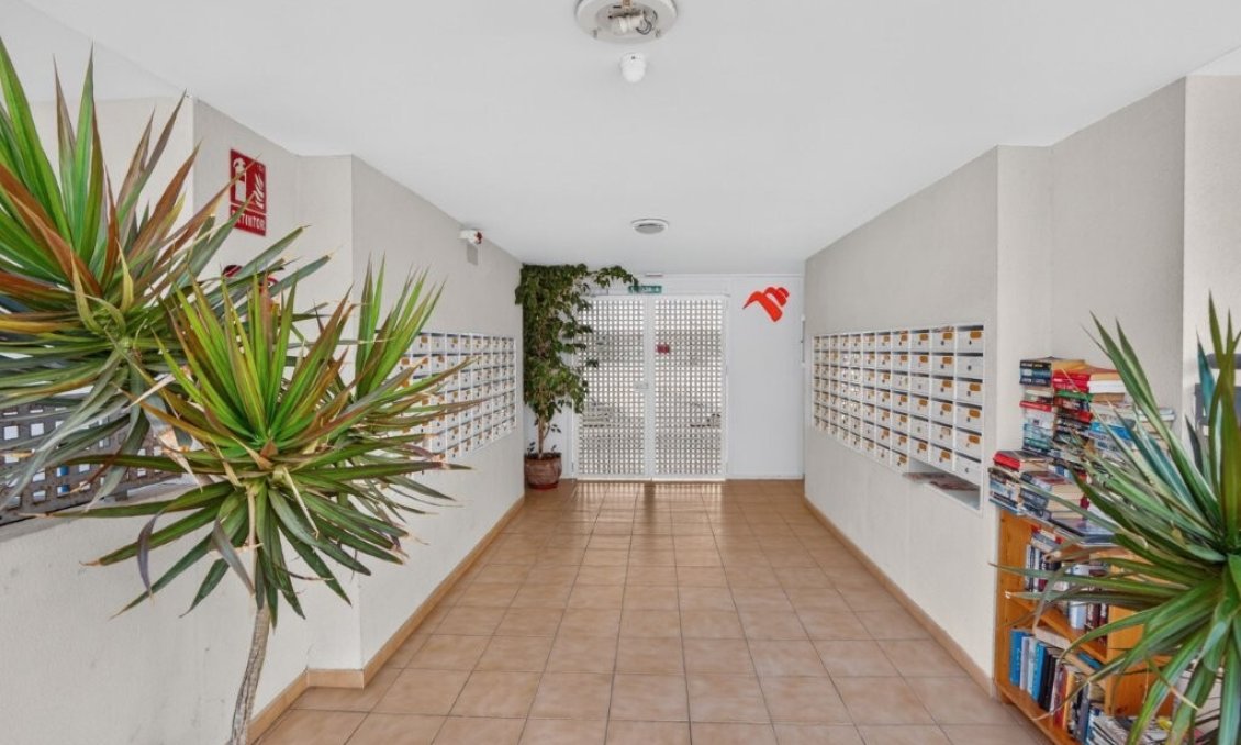 Segunda mano - Apartamento -
Almoradí - Costa Blanca