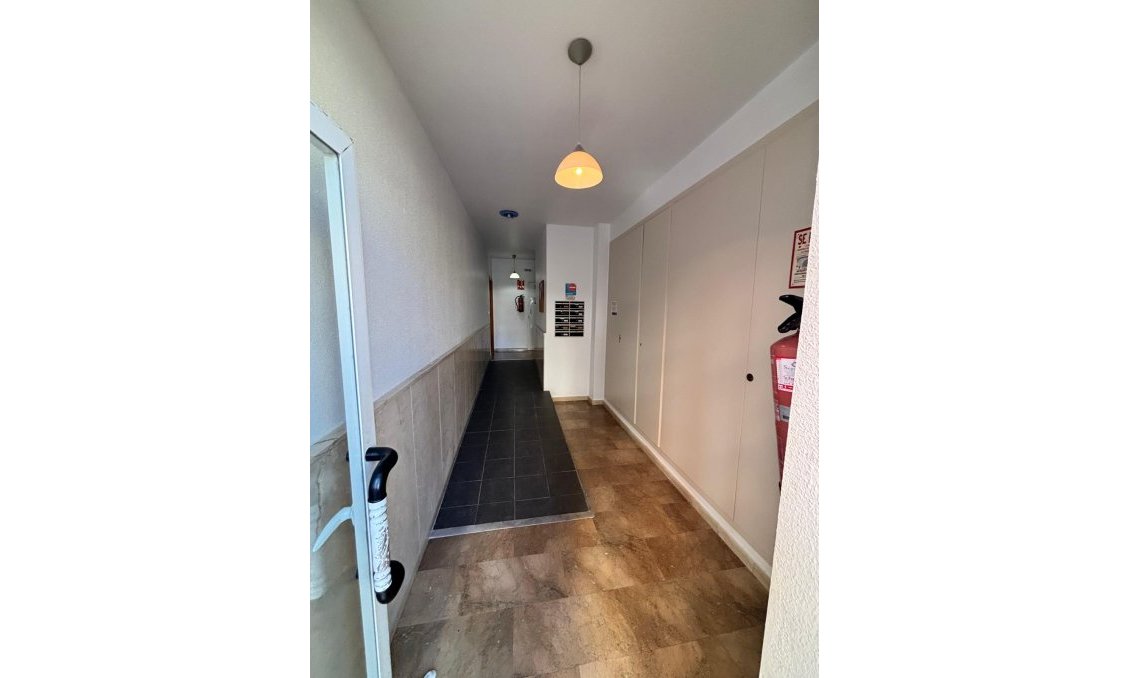 Segunda mano - Apartamento -
Almoradí - Inland