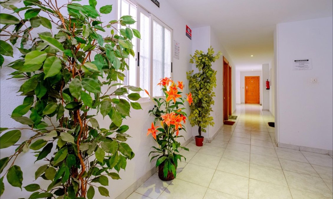 Segunda mano - Apartamento -
Torrevieja - Playa del Cura