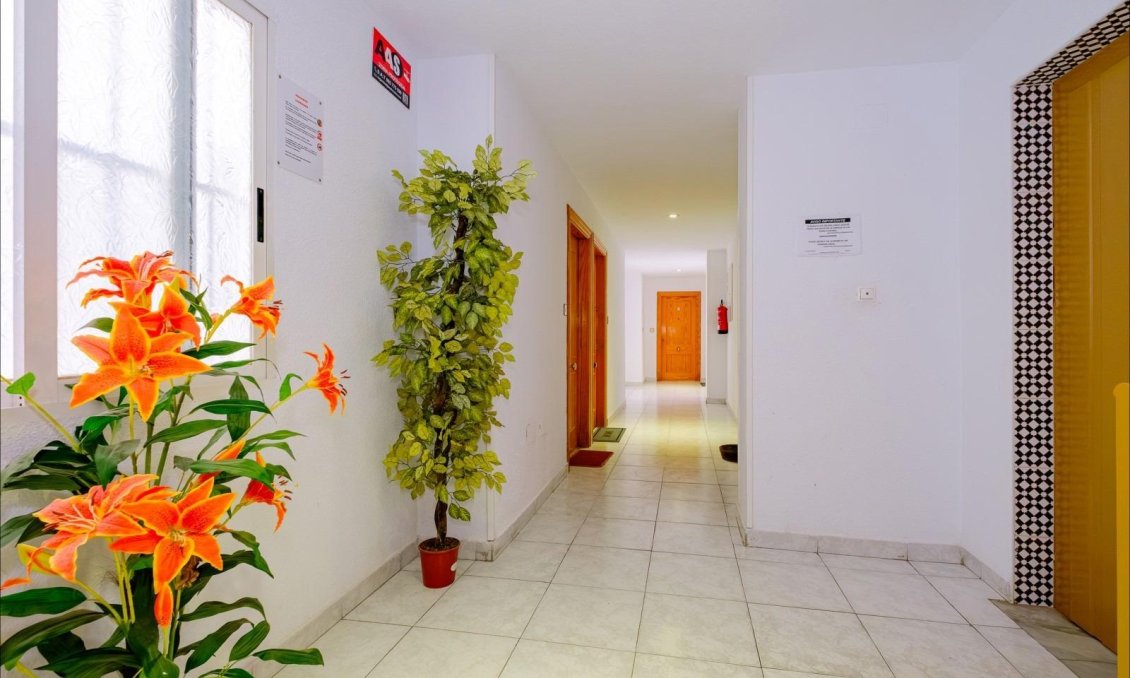 Segunda mano - Apartamento -
Torrevieja - Playa del Cura