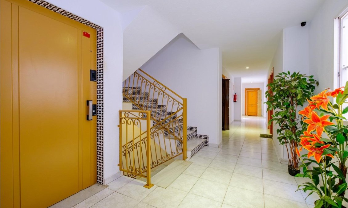 Segunda mano - Apartamento -
Torrevieja - Playa del Cura