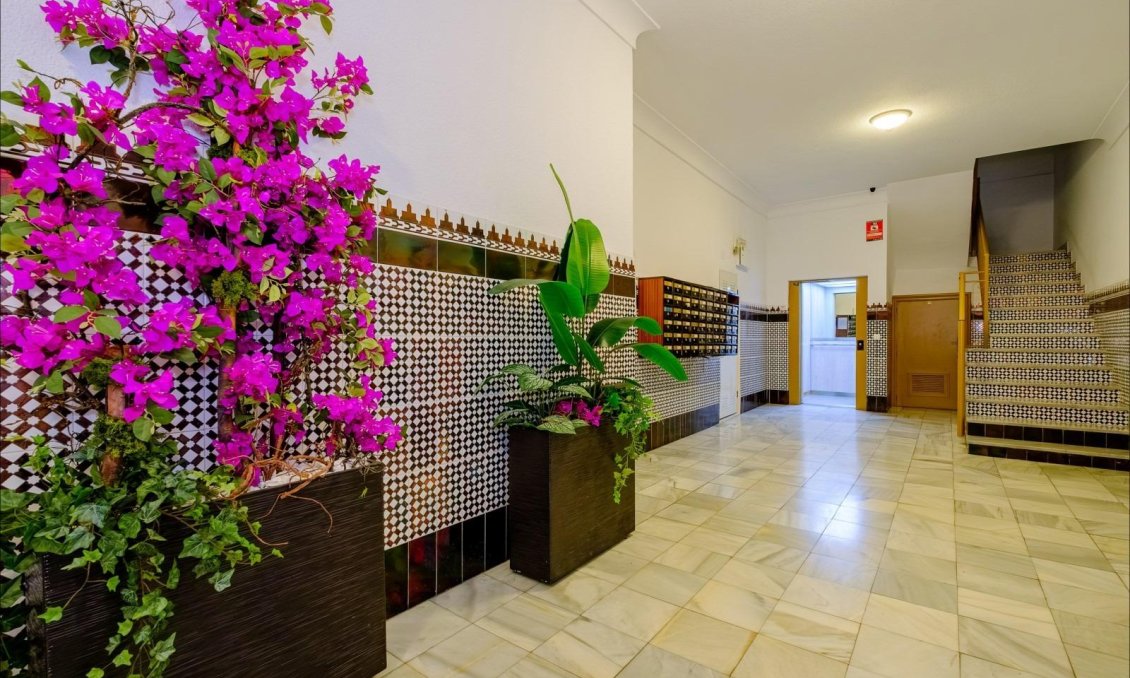 Segunda mano - Apartamento -
Torrevieja - Playa del Cura