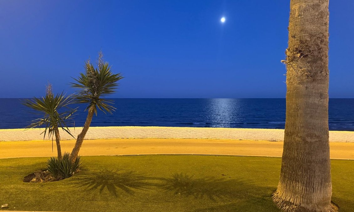 Segunda mano - Bungalow -
Pilar de la Horadada - Costa Blanca