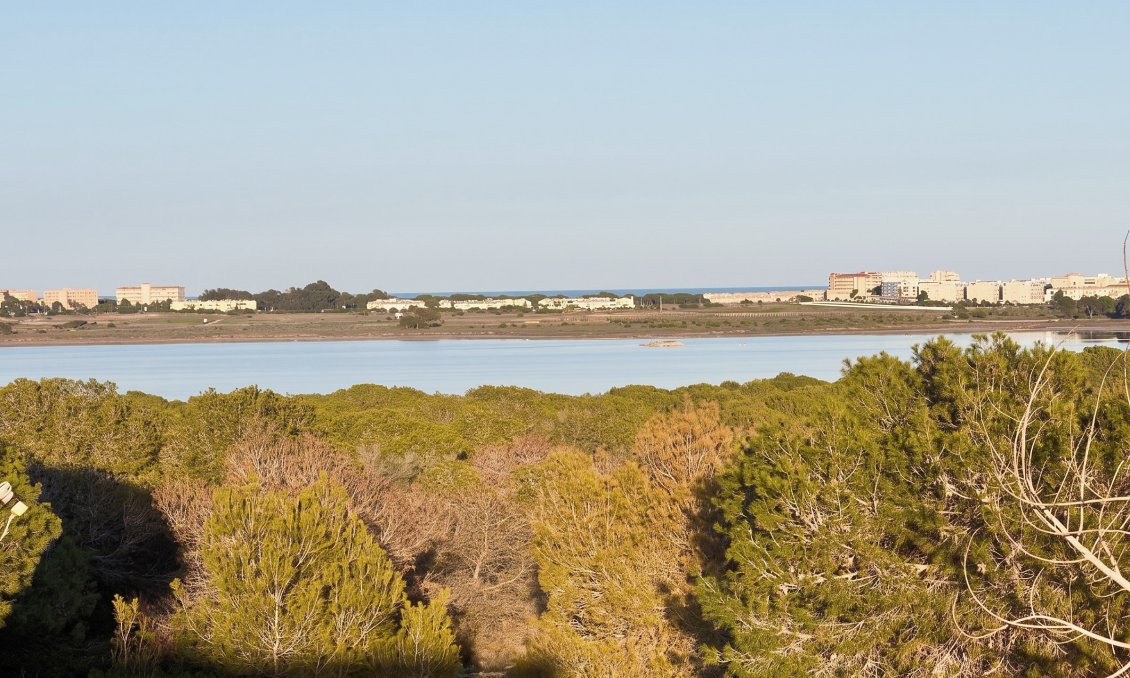 Segunda mano - Adosado -
Torrevieja - Costa Blanca