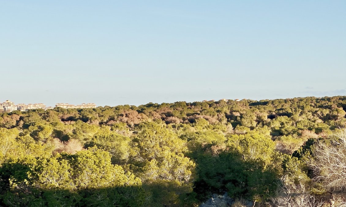 Segunda mano - Adosado -
Torrevieja - Costa Blanca