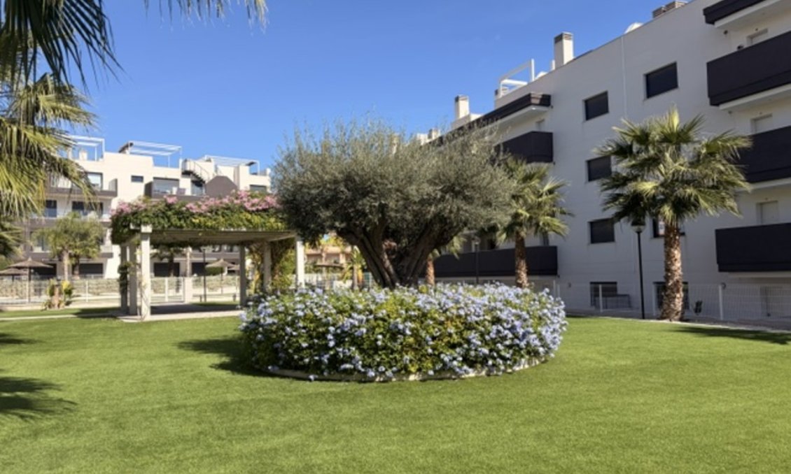 Segunda mano - Apartamento -
Villamartin - Costa Blanca