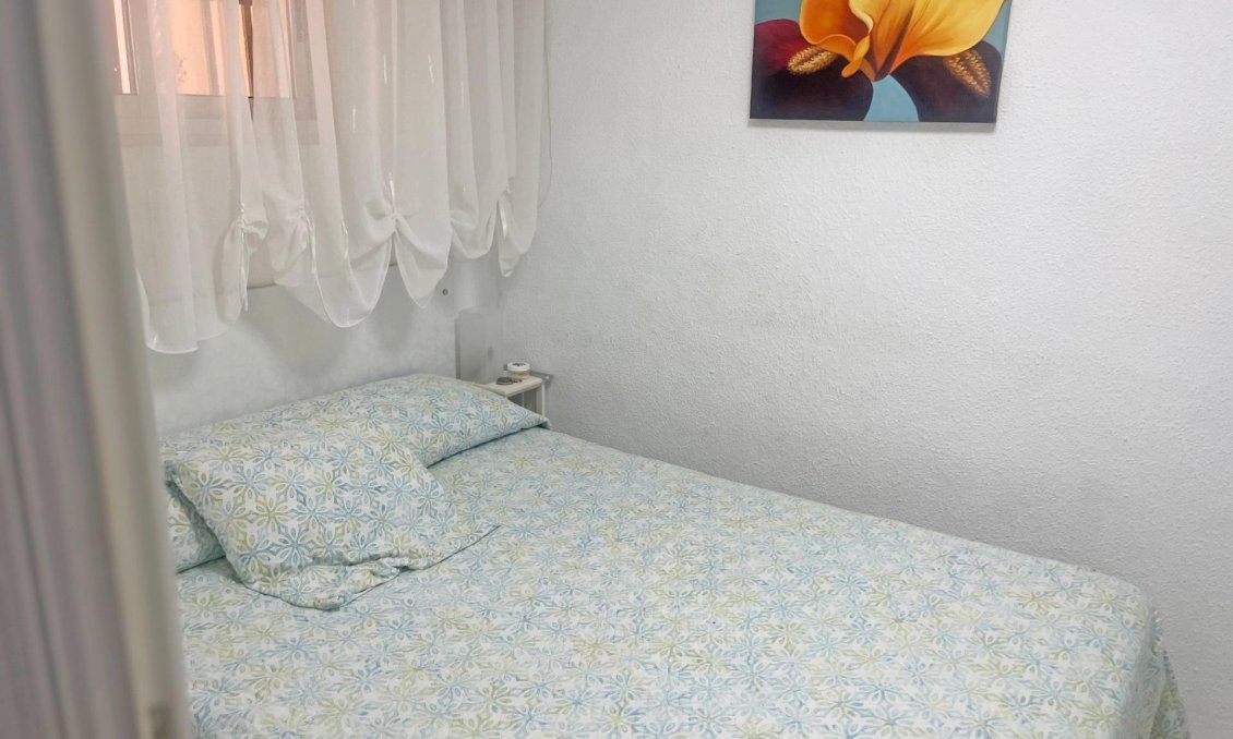 Segunda mano - Apartamento -
Guardamar del Segura - Centro