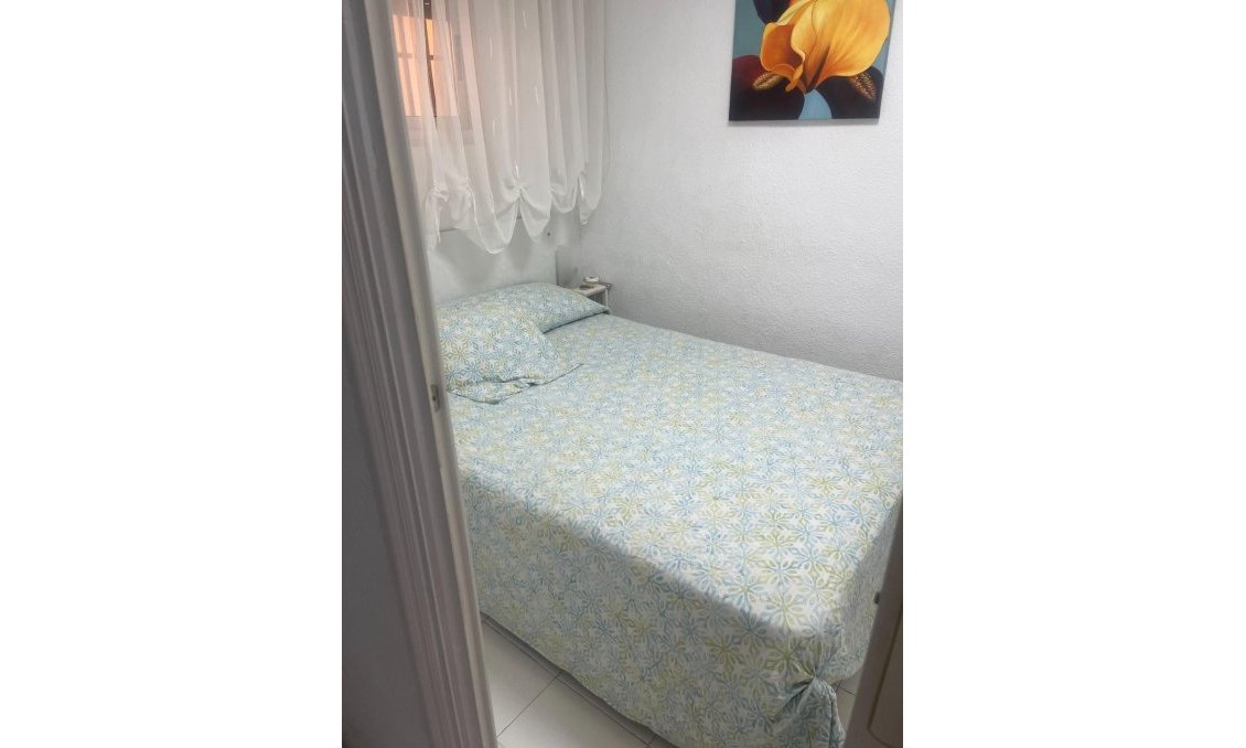 Segunda mano - Apartamento -
Guardamar del Segura - Centro