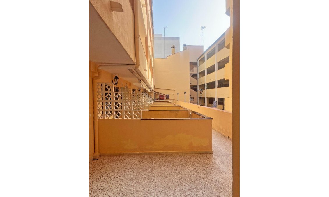 Segunda mano - Apartamento -
Guardamar del Segura - Centro