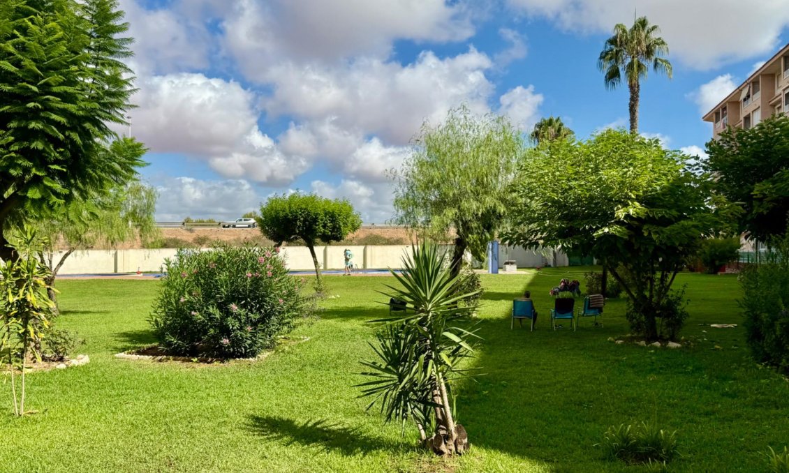 Wiederverkauf - Wohnung -
Torrevieja - PARQUE DE LAS NACIONES