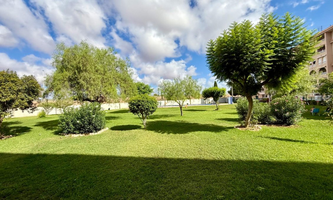 Wiederverkauf - Wohnung -
Torrevieja - PARQUE DE LAS NACIONES
