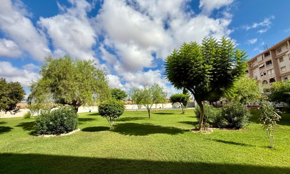 Wiederverkauf - Wohnung -
Torrevieja - PARQUE DE LAS NACIONES