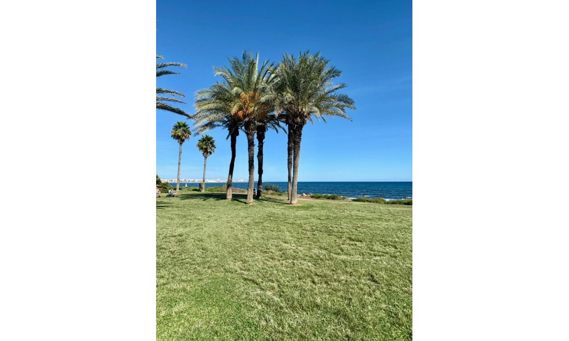 Resale - Apartment -
Torrevieja - Costa Blanca