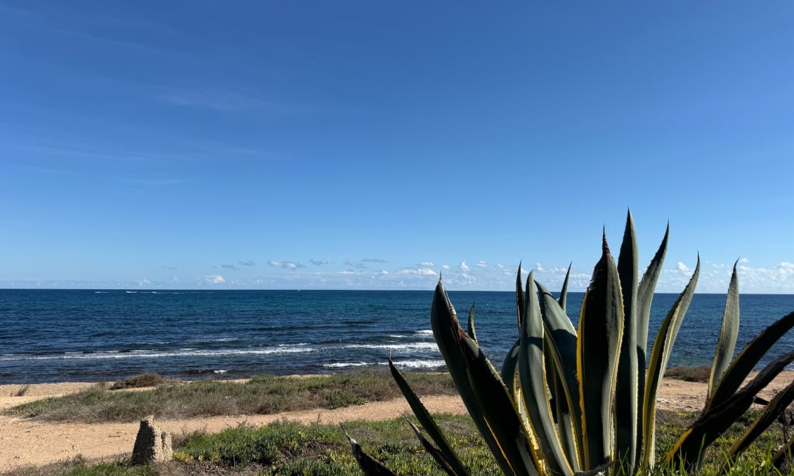 Resale - Apartment -
Torrevieja - Costa Blanca