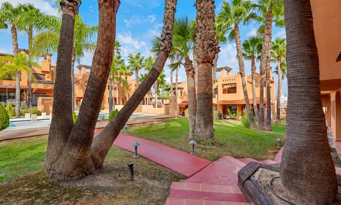 Segunda mano - Adosado -
San Miguel de Salinas - Costa Blanca