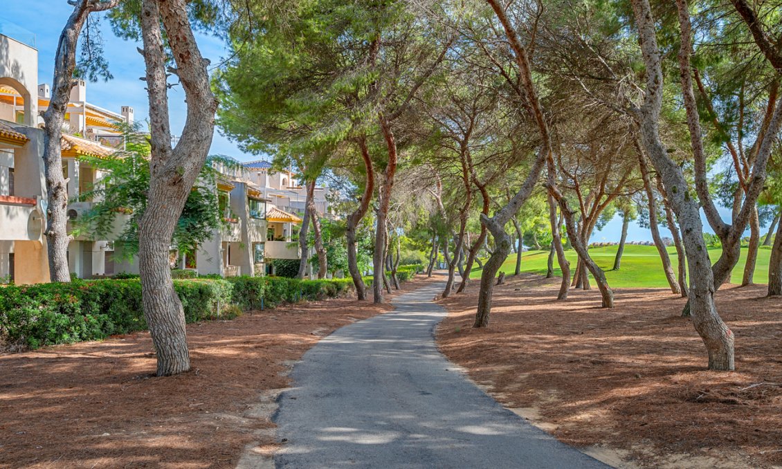 Segunda mano - Ático -
Dehesa de Campoamor - Costa Blanca