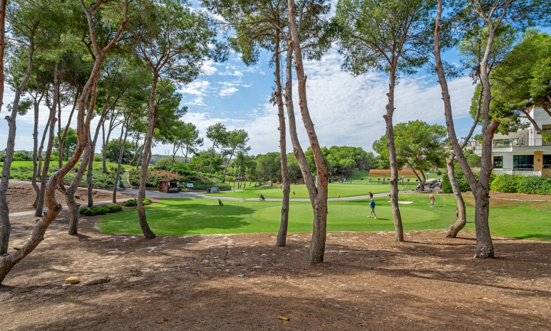 Segunda mano - Ático -
Dehesa de Campoamor - Costa Blanca