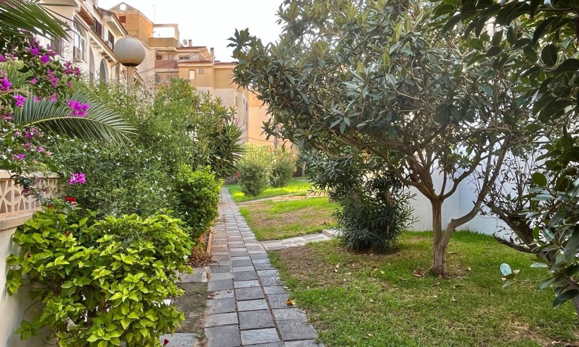 Használt Ingatlanok - Apartman -
Torrevieja - Calas Blanca