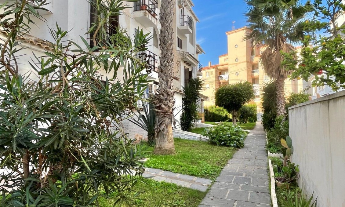 Használt Ingatlanok - Apartman -
Torrevieja - Calas Blanca