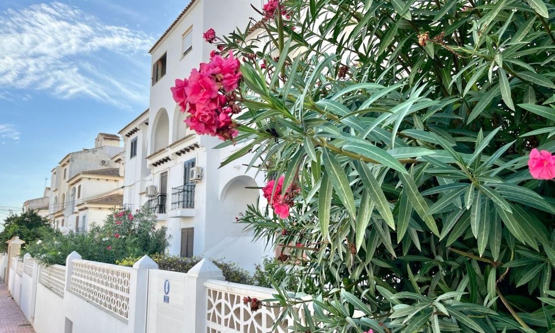 Használt Ingatlanok - Apartman -
Torrevieja - Calas Blanca