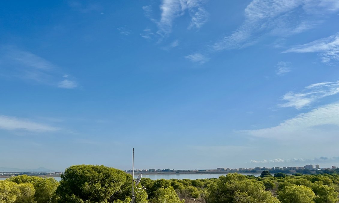 Segunda mano - Adosado -
Torrevieja - Costa Blanca