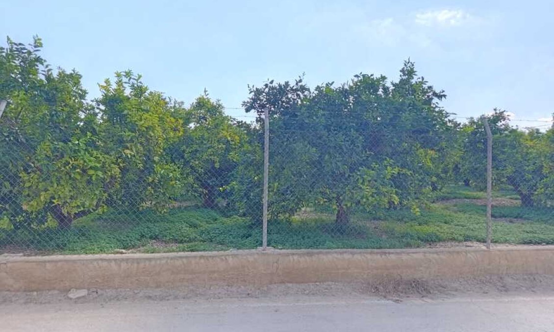 Wiederverkauf - Wohnung -
Benejúzar - Inland