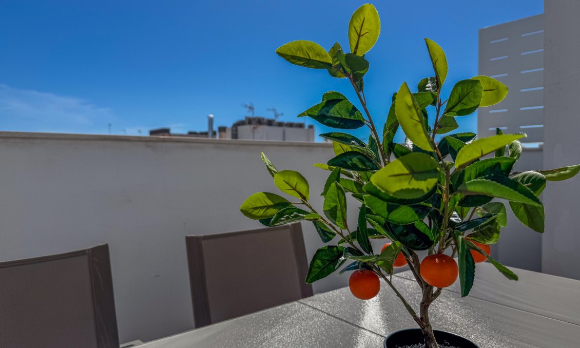Segunda mano - Apartamento -
Torrevieja - Costa Blanca